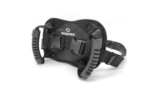 Passenger Safety Belt